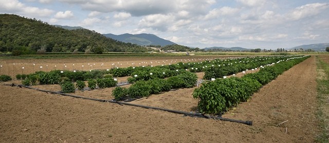 Open Day al Campo Catalogo “Jucci” rinviato a sabato 12 ottobre